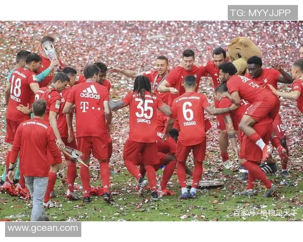 成都排球队以81分领跑精英赛积分榜展现强大实力