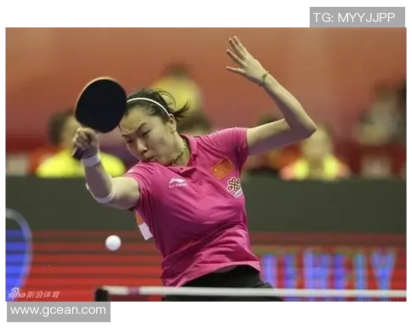 成都羽毛球队近期状态分析及联赛表现评估